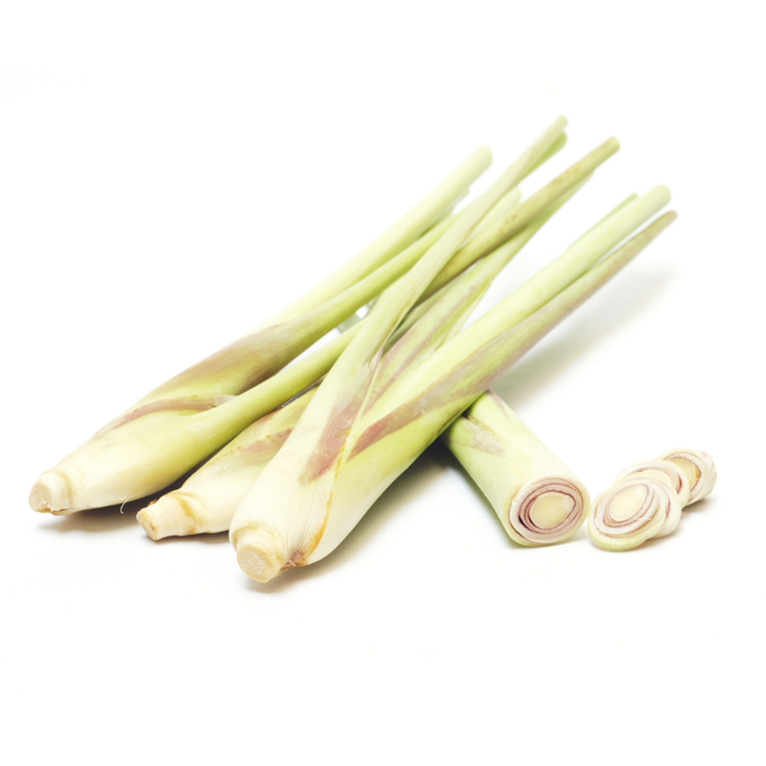 Citronnelle de Madagascar